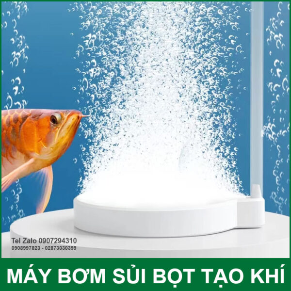 sui bot khi ho ca 220V 20W 30L Auto AC DC Resun