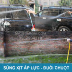 sung rua xe tuoi cay kim loai cao cap