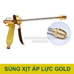 sung xit ap luc gold
