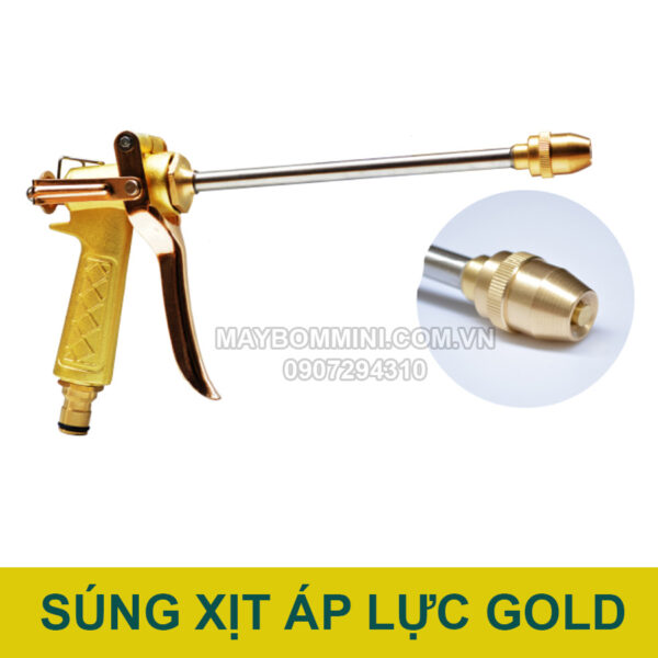 sung xit ap luc gold