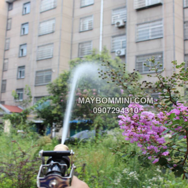 sung xit tuoi cay rua xe dieu chinh tia