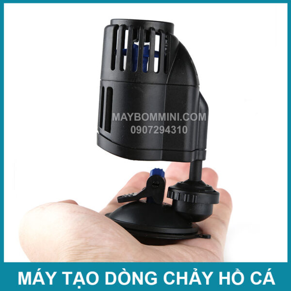 tao luong nuoc trong be ca