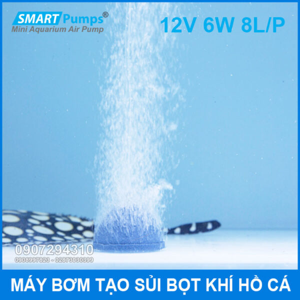 tao sui bot khi be ho ca mini