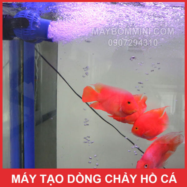 tao tao song ho ca