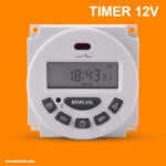 timer hen gio 12v 1