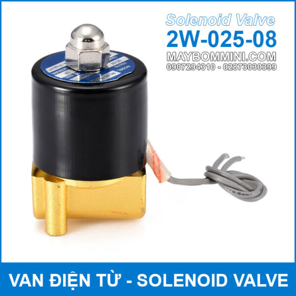 van dien tu 2W 025 08